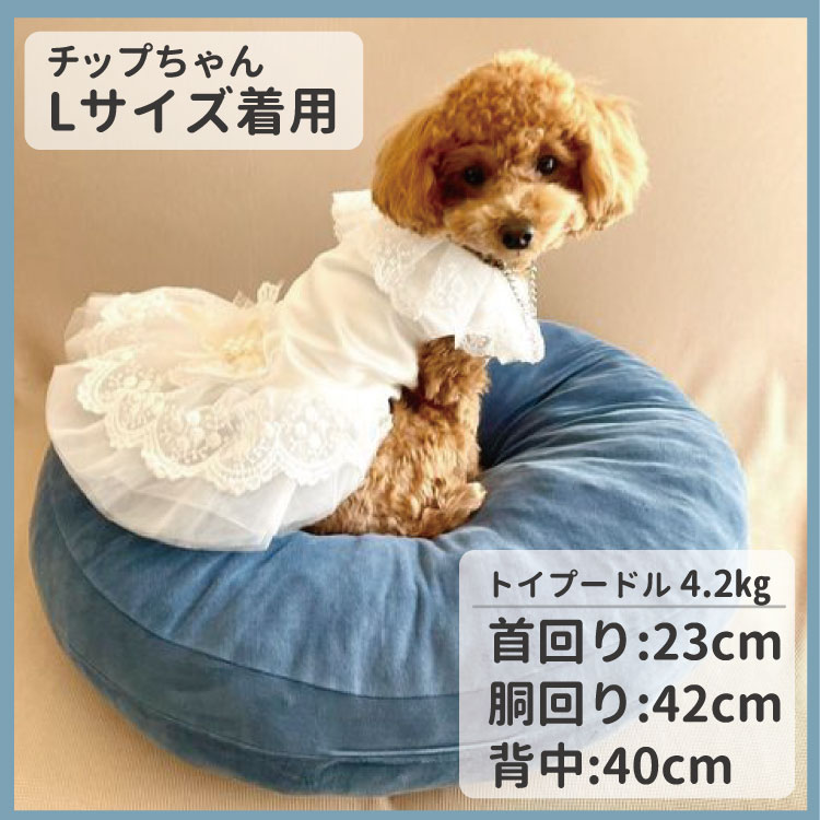 楽天市場】犬服 【刺繍 ウェディングドレス】 S～XL 小型犬 グッズ