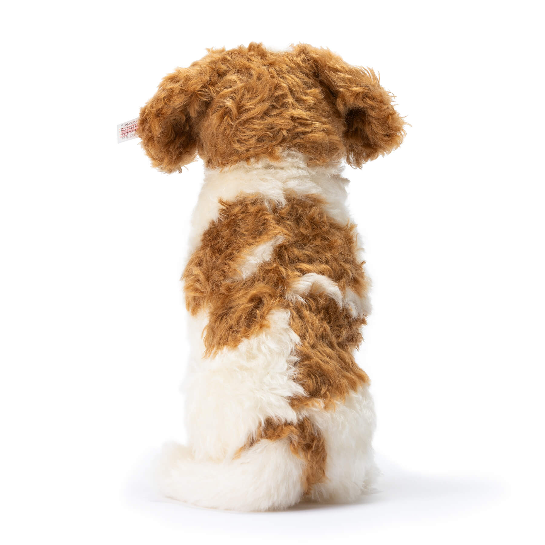 シュタイフ コーイケルホンディエ □ いぬ イヌ 犬 dog コーイケルホン