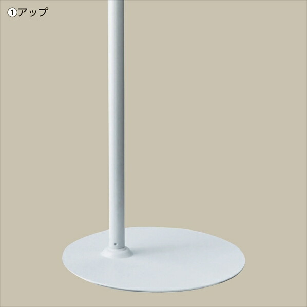 楽天市場】【業務用】婦人腕無しニット張トルソー ベース白 1台ツヤ感