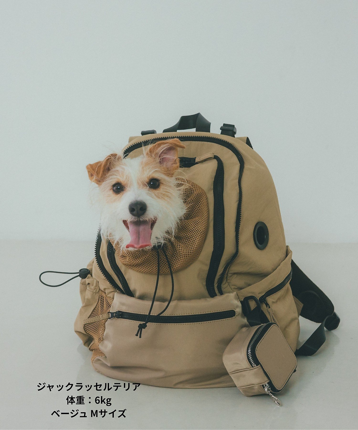 LOWELL Things｜MATIE/ペットリュックM【Direction by 有末 麻祐子