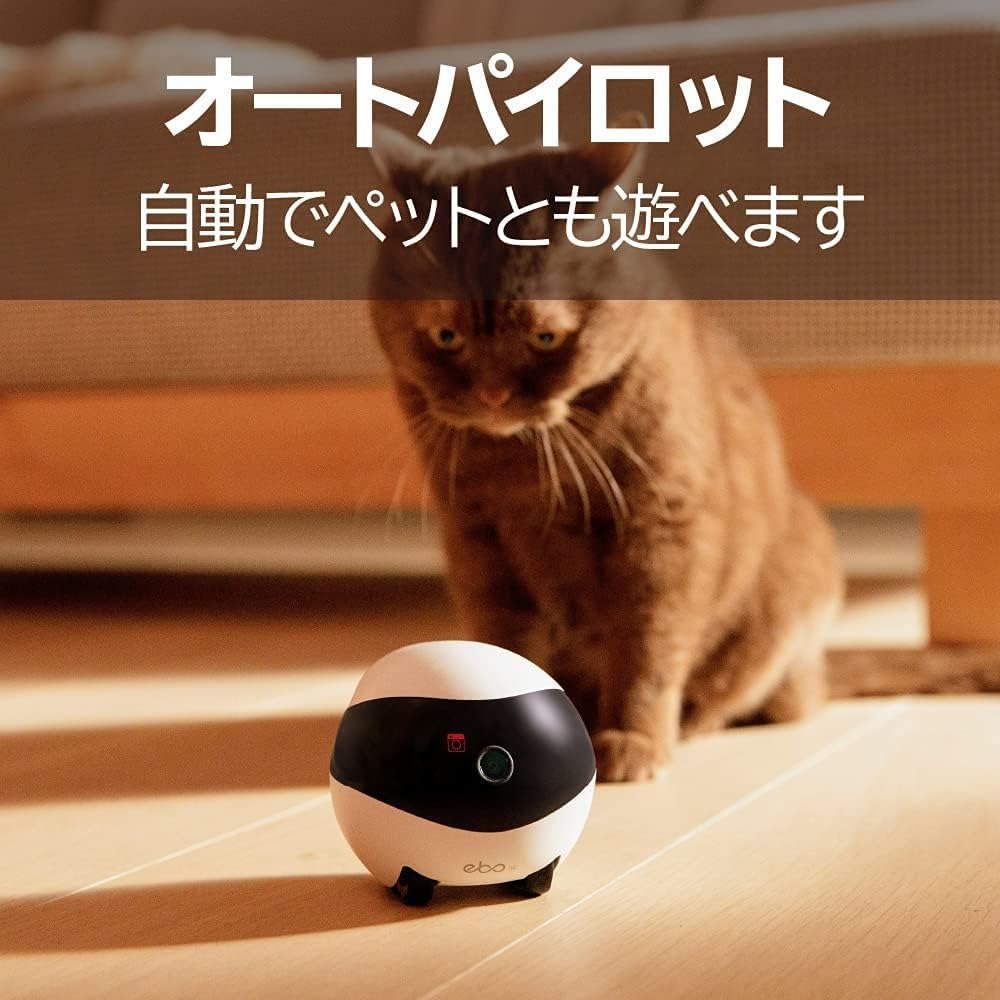 楽天市場】Enabot EBO SE ペットカメラ お友達ロボット スマートペット