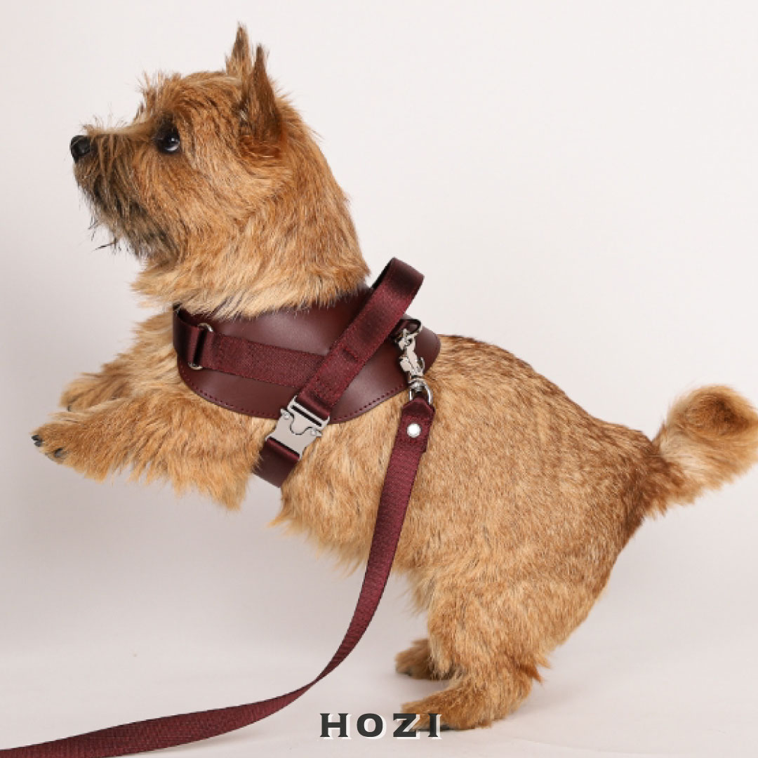 楽天市場】サドル ハンズフリーリード 【HOZI】 犬 肩掛けリード