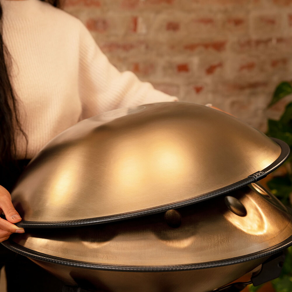 楽天市場】MEINL Sonic Energy センサリー・ハンドパン HPSTL91 【 D