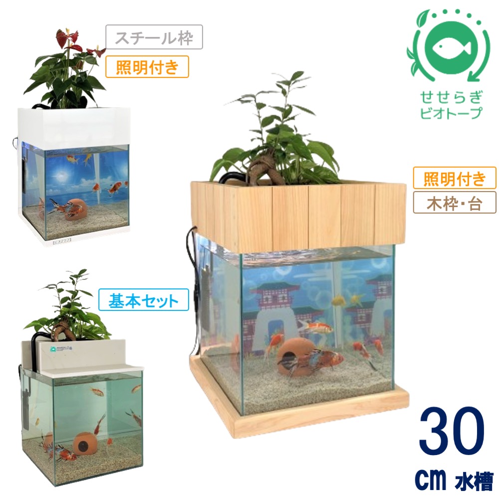 水換えの要らないビオトープ