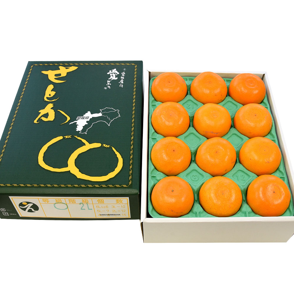 楽天市場】愛媛県産 JAえひめ中央 せとか 青〇品 化粧箱 4Lから2L