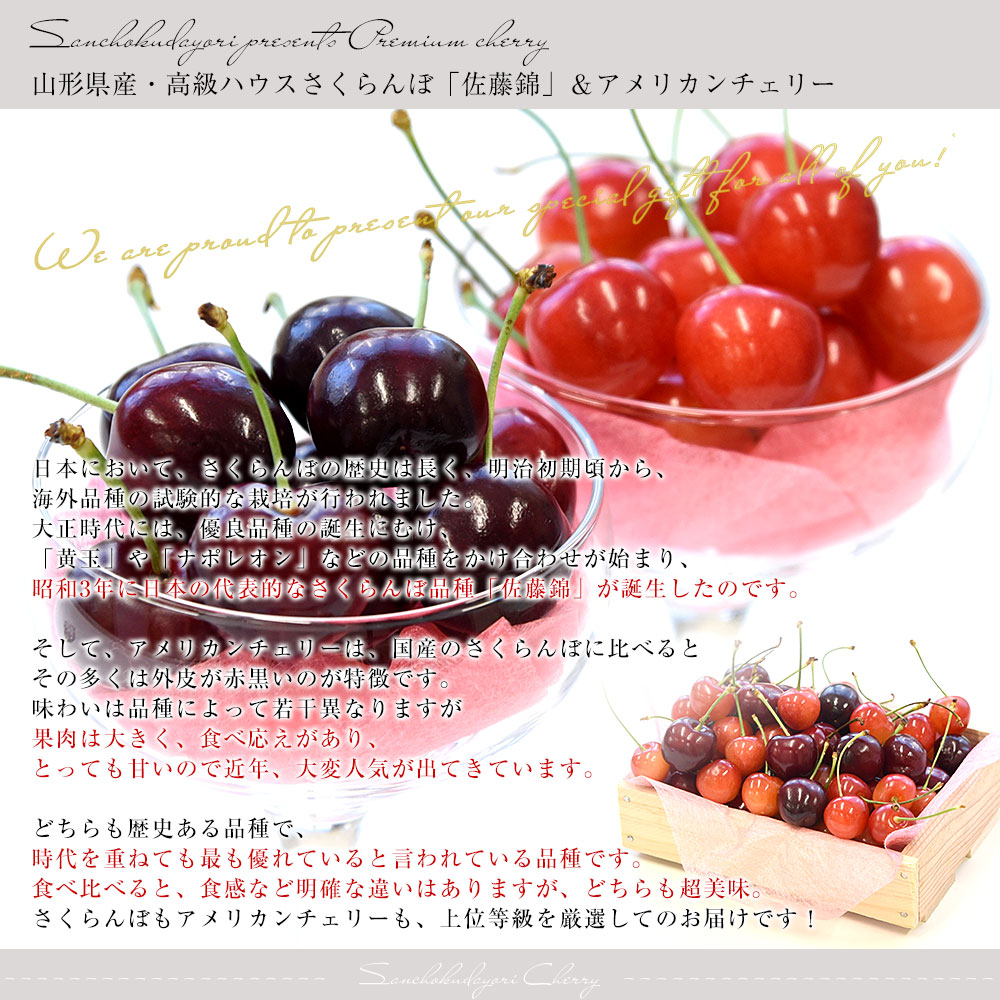 楽天市場】チェリー食べ比べギフトBOX 山形県JAみちのく村山 ハウス