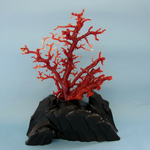 珊瑚 オブジェ」の人気商品一覧 | 安い商品を通販サイトから探す