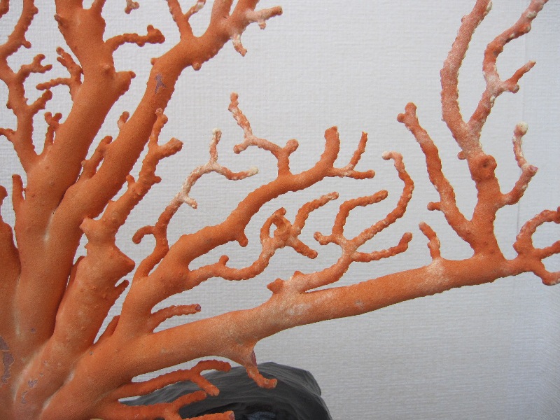 楽天市場】【豪華】桃珊瑚の原木・拝見・置物 黒檀台 置き物 飾り