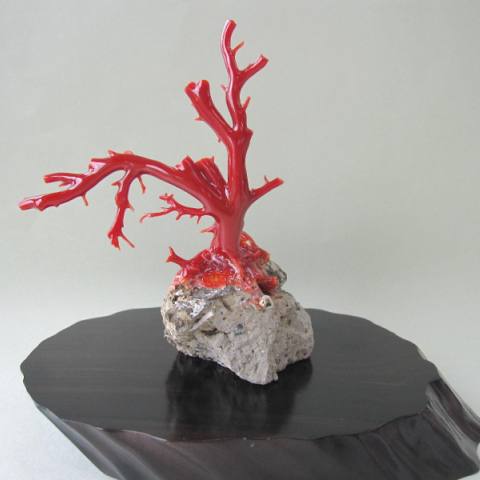 極太赤珊瑚置物 台込高さ23㎝/453g 東Y7-0312☆2F