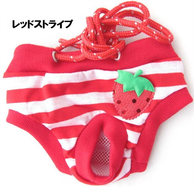 楽天市場】犬用 パンツ ワンちゃん マナーパンツ サニタリーパンツ