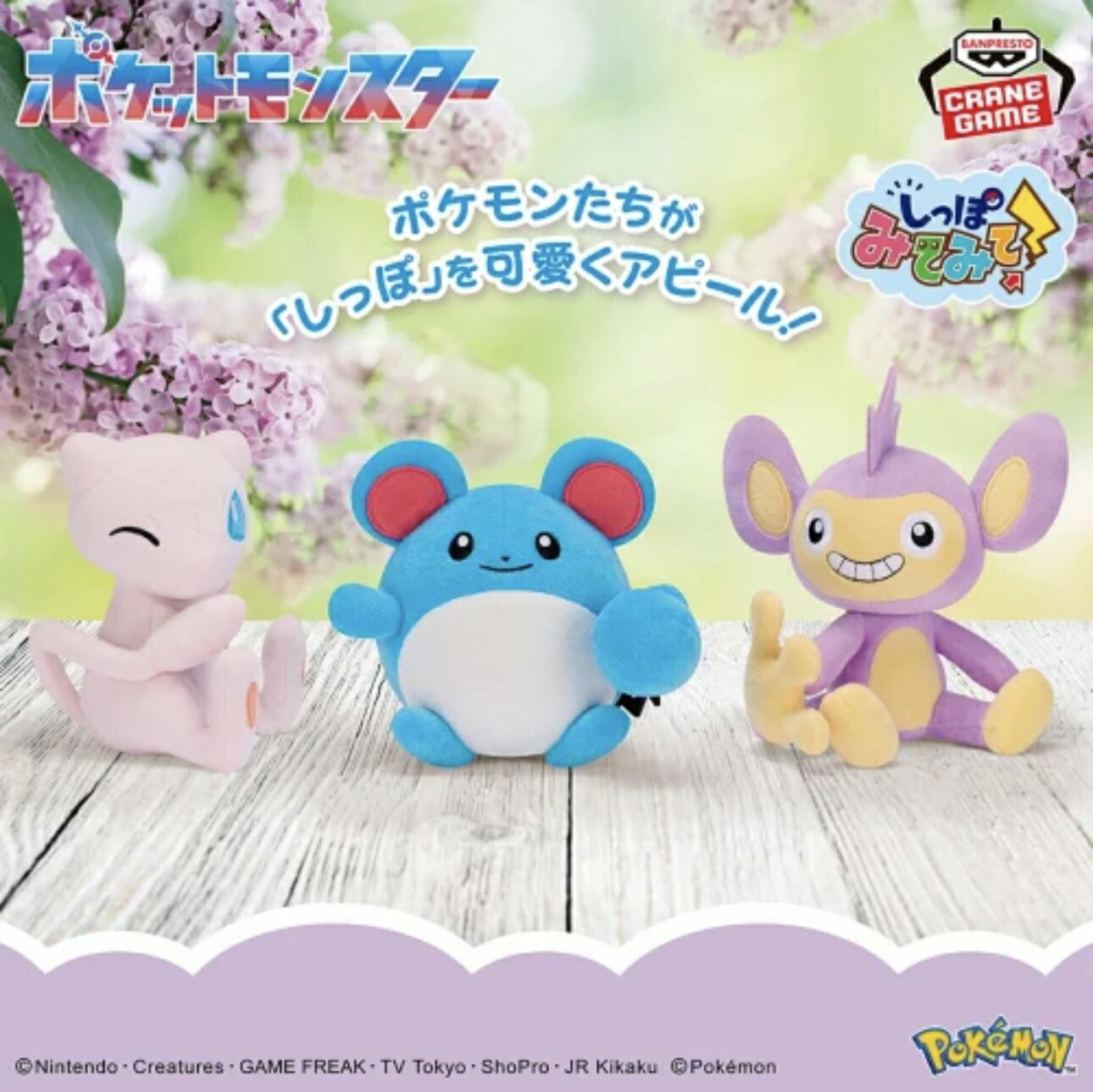 楽天市場】【マリル】ポケットモンスター しっぽみてみて！ぬいぐるみ