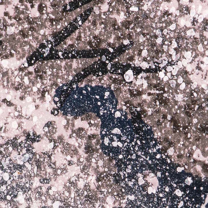 楽天市場】宮本秋風 木版画 雲母摺り『月下の桜』18版22度摺り 豪華