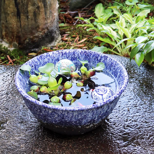 骨董 火鉢 陶器 睡蓮鉢 五徳付き 骨董 火鉢 陶器 睡蓮鉢 五徳付き