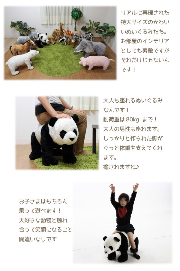 楽天市場】ぬいぐるみ 特大 / パンダ B3851-39 82479 【送料無料