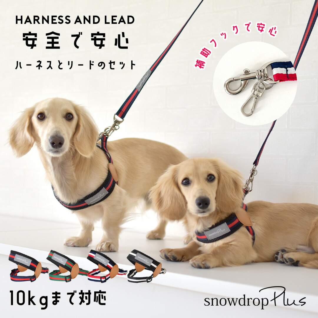 楽天市場】ハーネス リボン ハーネス リードセット snowdrop シンプル