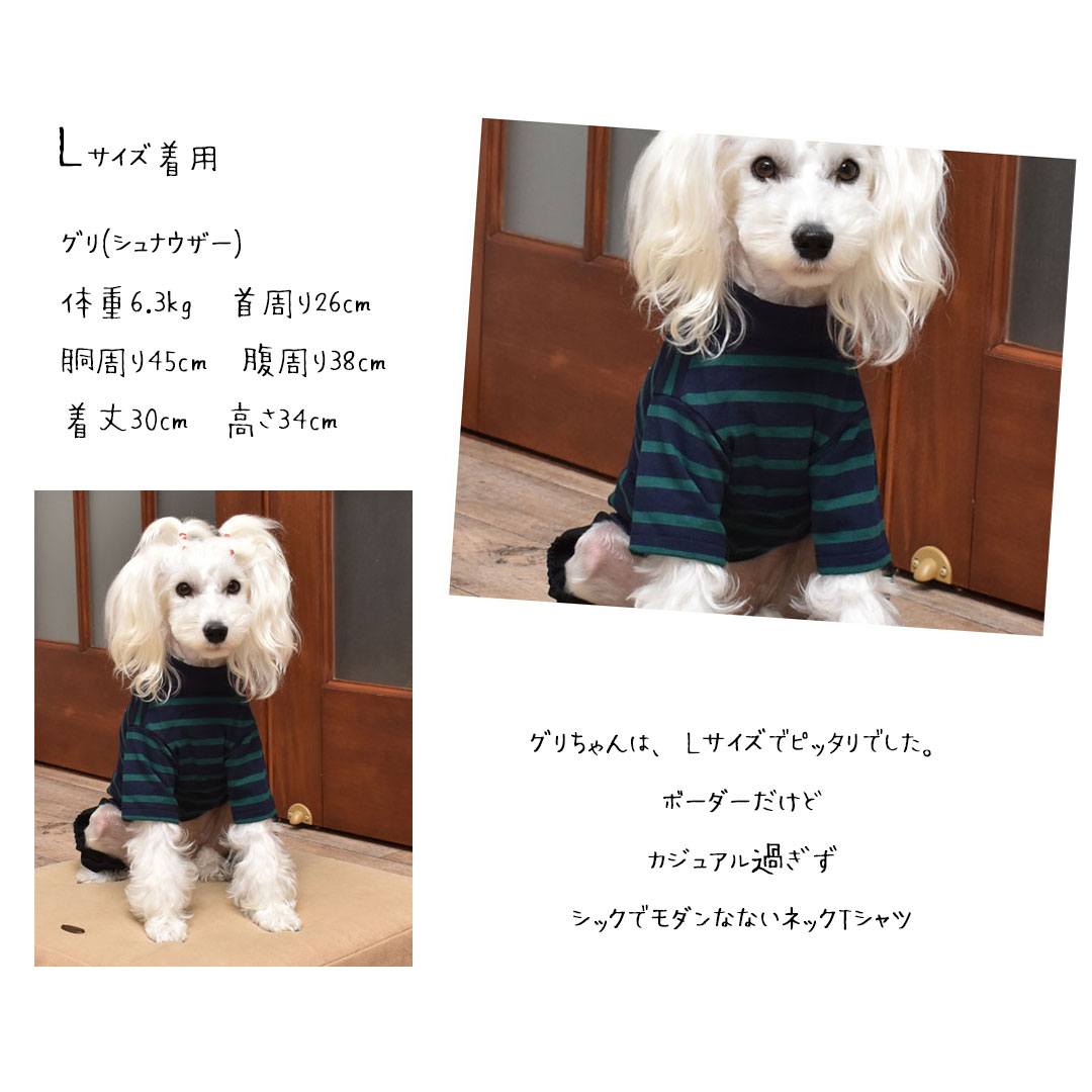 楽天市場】(在庫処分SALE商品の為返品交換不可)Tシャツ ボーダー 名