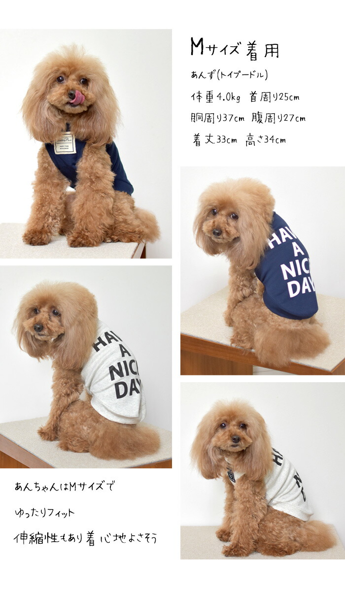 楽天市場】(在庫処分セールの為返品交換不可)横ロゴ HAVE A NICE