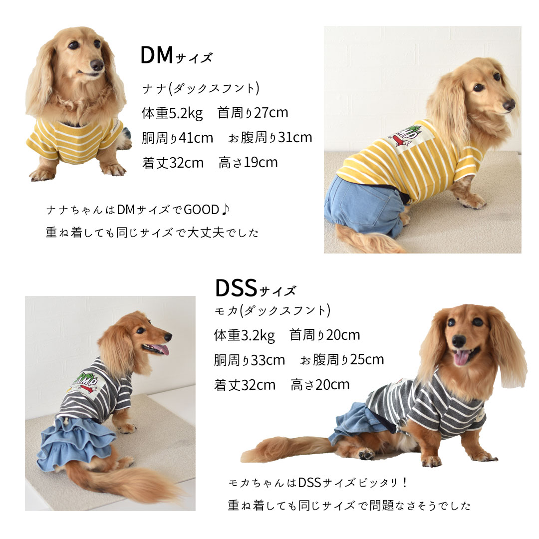 楽天市場】ボーダー キャンプTシャツ ダックスサイズ 犬服 snowdrop
