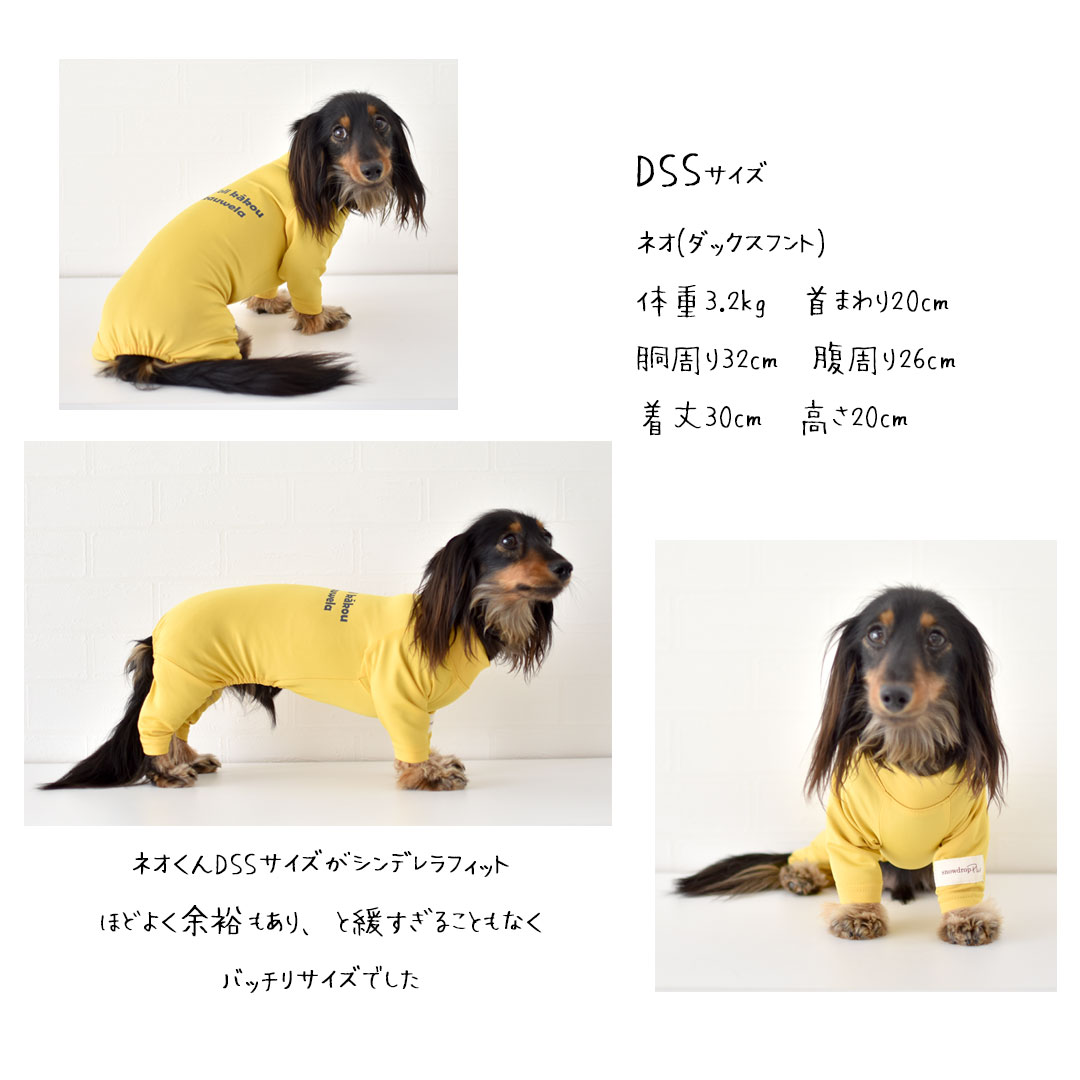 楽天市場】ロゴ水着 ダックスサイズ ラッシュガード snowdrop