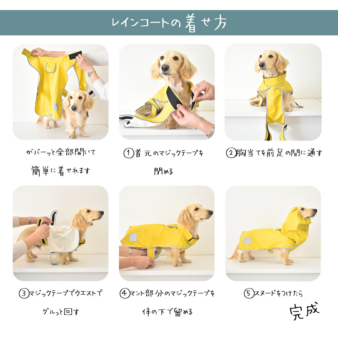 楽天市場】レインコート ダックスサイズ 犬用 雨具 カッパ 防水 泥はね