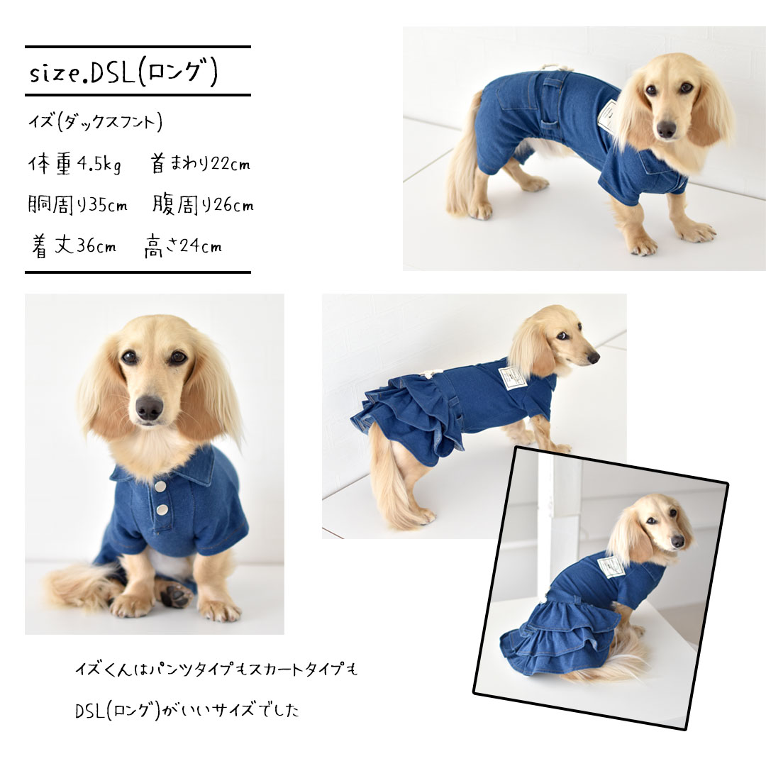 楽天市場】襟付きデニムオールインワン 名入れ 刺繍 ダックスサイズ