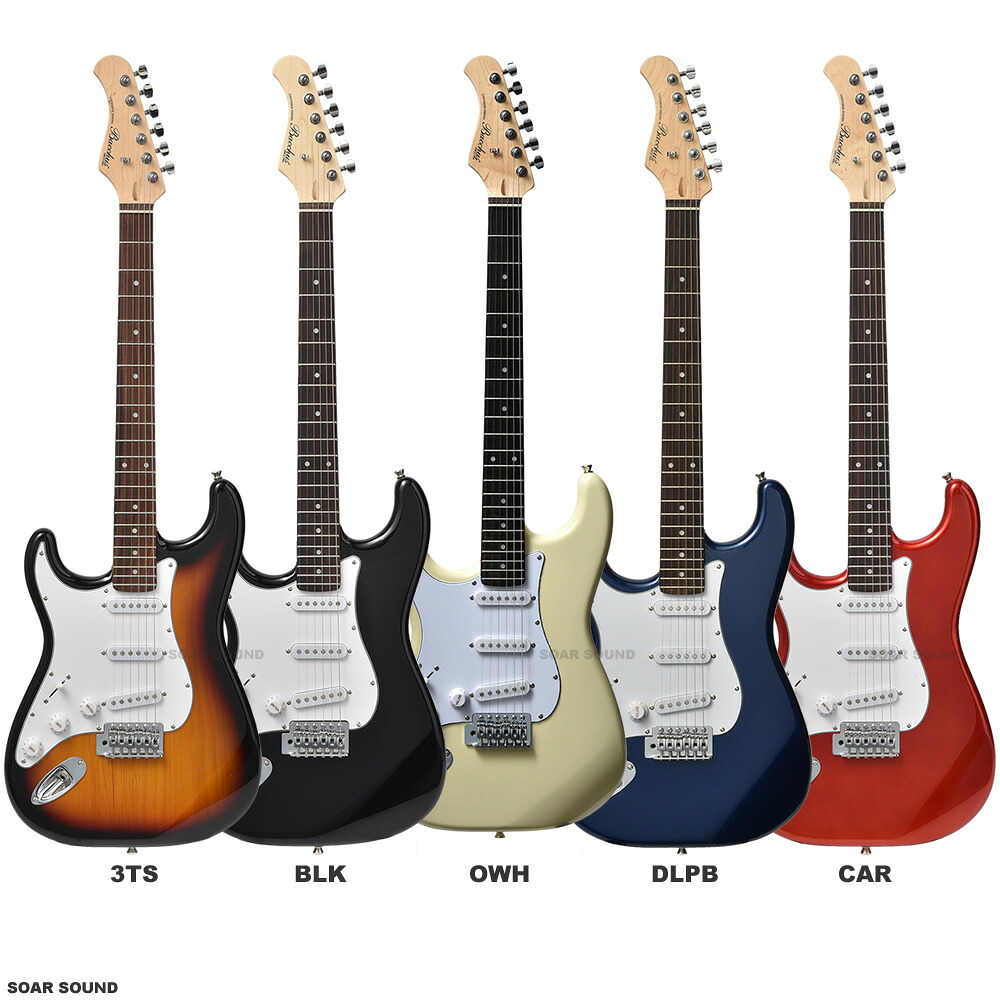 Bacchus BST-1R 3TS ストラトタイプ サンバースト ソフトケース