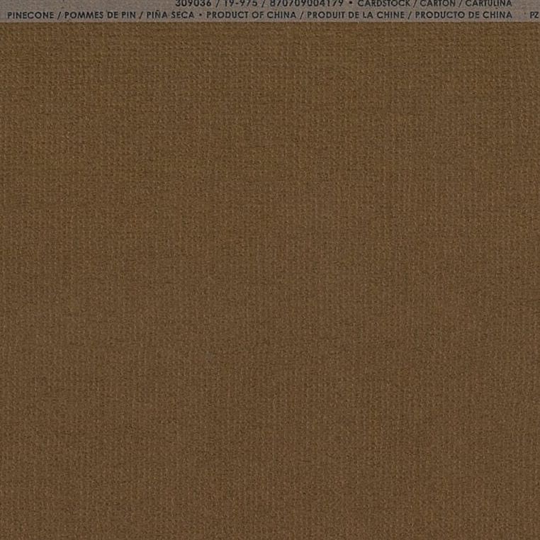 楽天市場】バジル ペーパーの通販