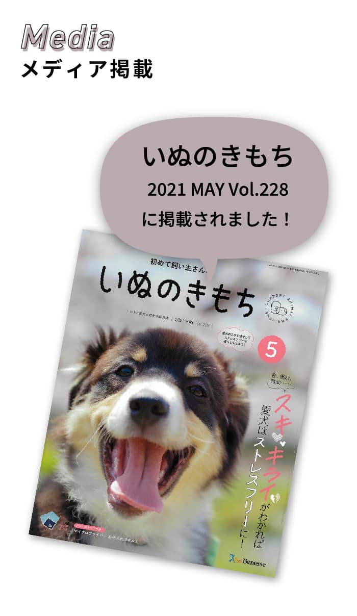 楽天市場】犬用 ハーネス LED 光る 夜間 散歩 雨天使用可能 水洗い