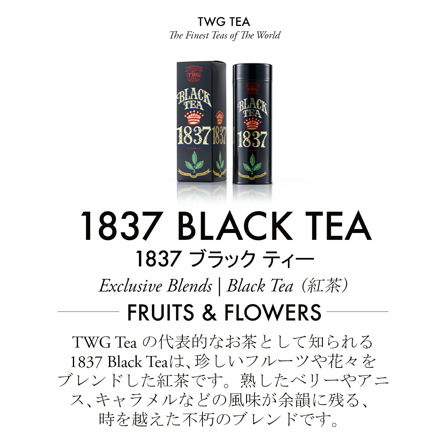 楽天市場】【公式】1837ブラックティー 紅茶 ギフト 缶入り茶葉