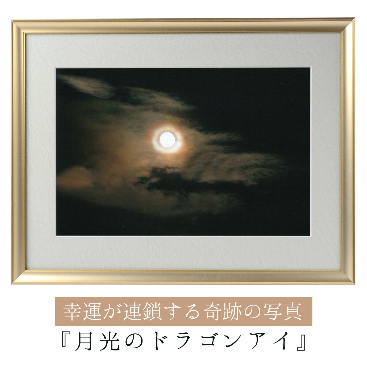 ドラゴンのランプ飾ってただけで未使用