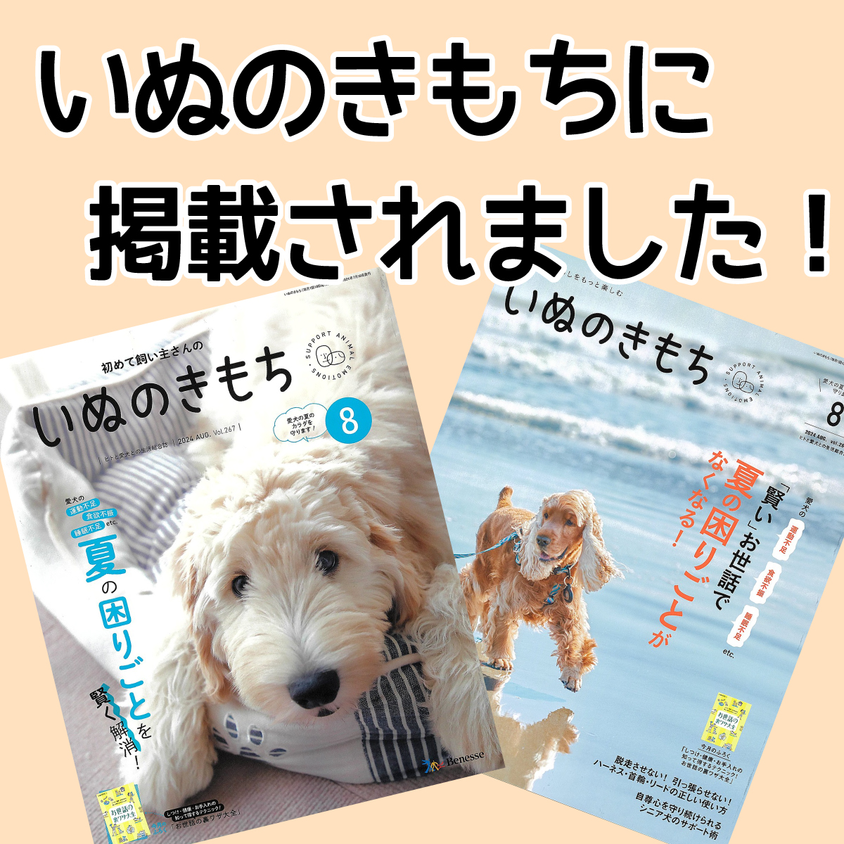 楽天市場】【中型犬用 蝦夷鹿の角】『鹿角さん』 髄出し割り角 四つ