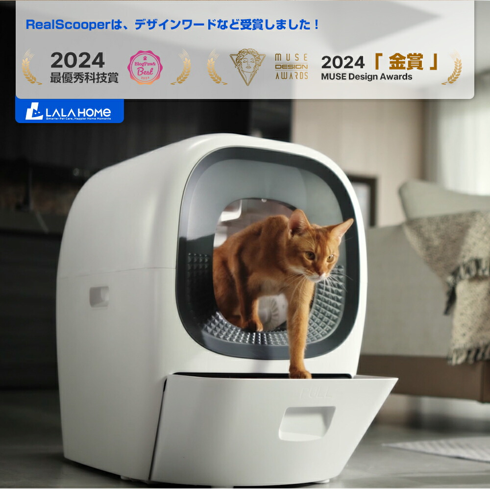 楽天市場】【最大2000円OFFクーポン＆P5倍！2/4 20時〜】Real Scooper