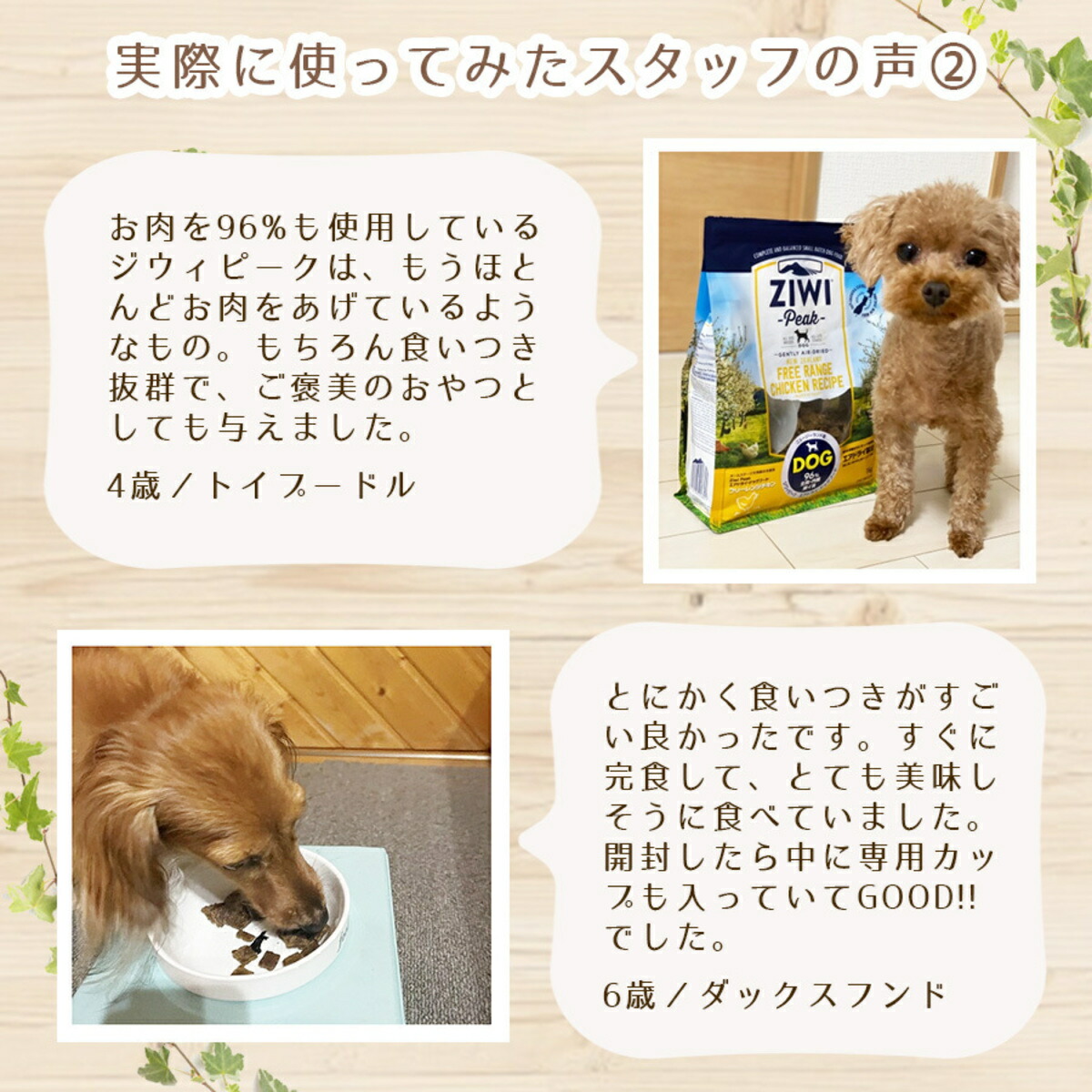 楽天市場】ジウィピーク ZIWI Peak ラム レシピ 犬用 ドッグフード 1kg