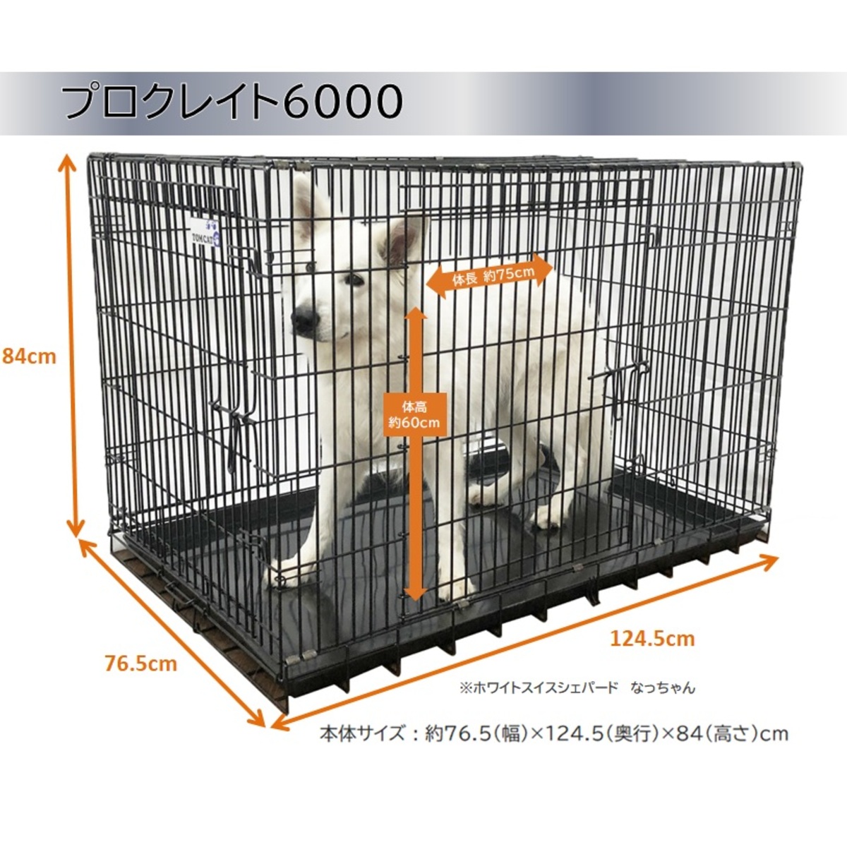楽天市場】トムキャット プロクレイト 6000（旧最強ｸﾚｲﾄ6000） : トム