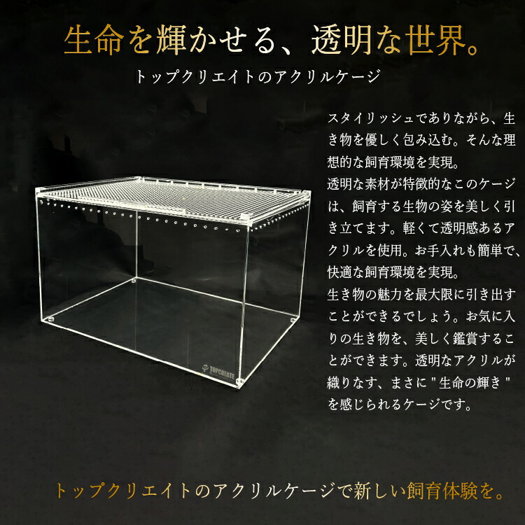 爬虫類ケージ 60×80×45㎝ ストッパー付属 Amazon | トップテラ 爬虫類