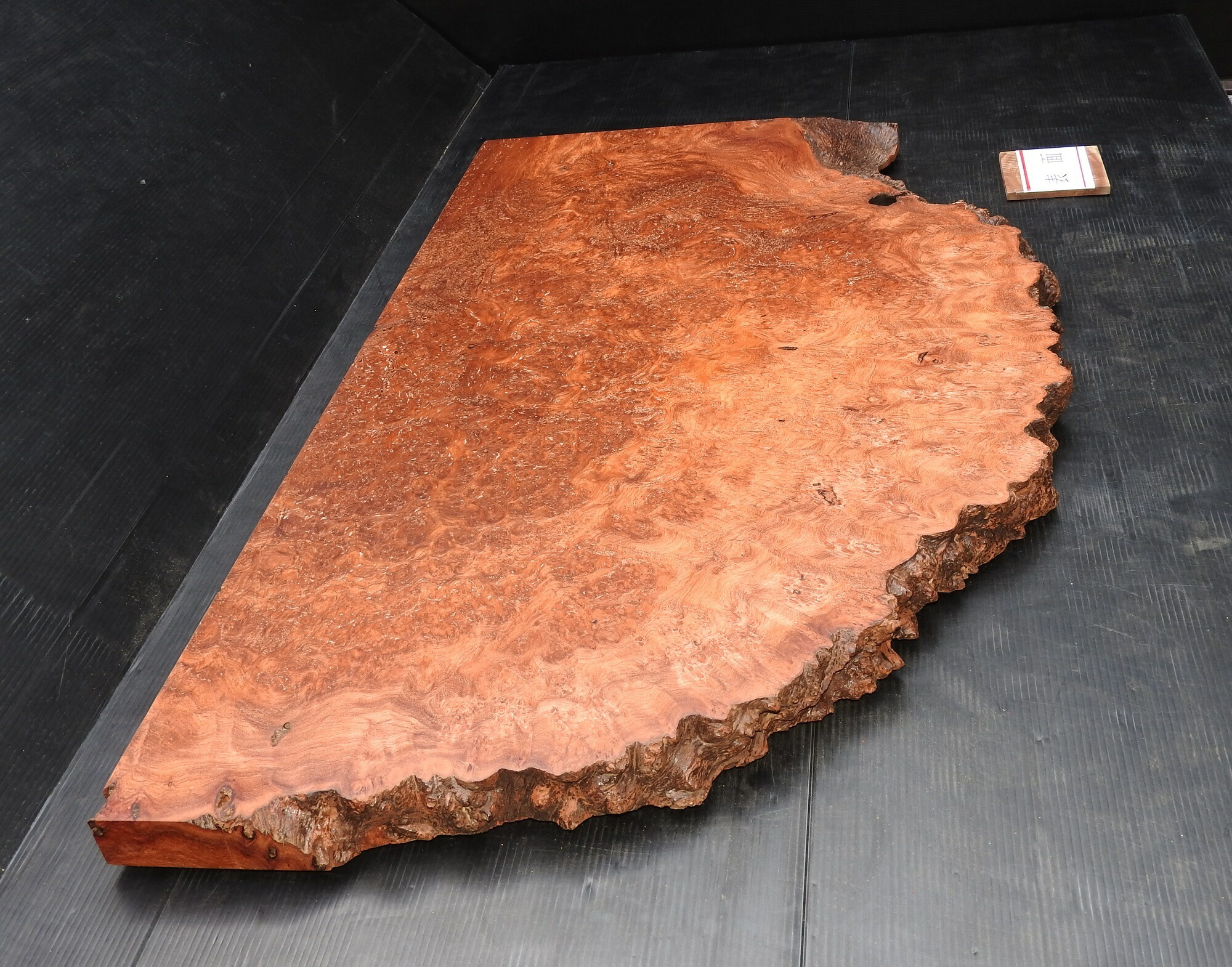 楽天市場】花梨 かりん 一枚板 半円変形 木材 無垢材350～590×40