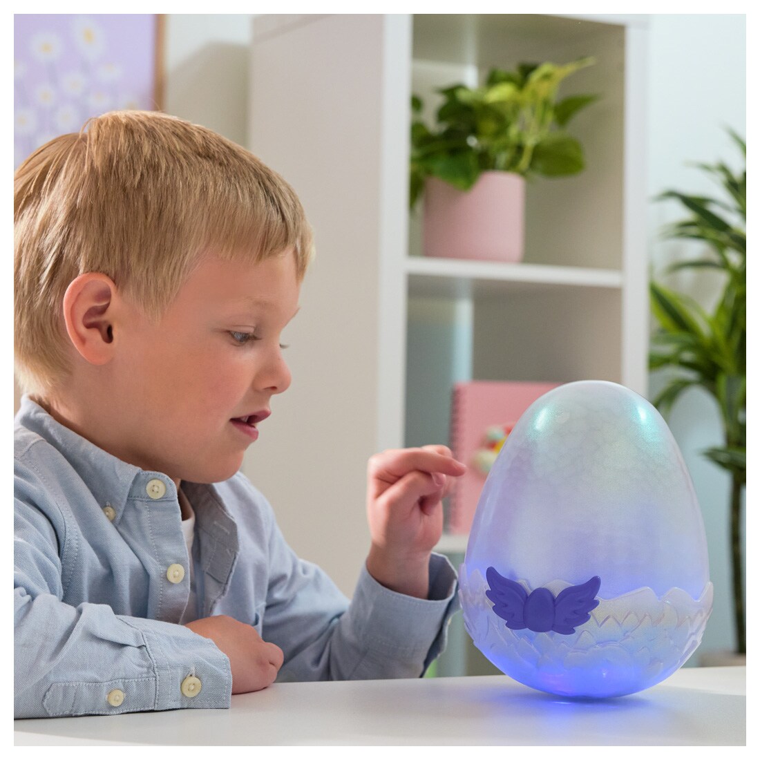 楽天市場】うまれて!ウーモ アライブ ドラグル | タカラトミー うまれ