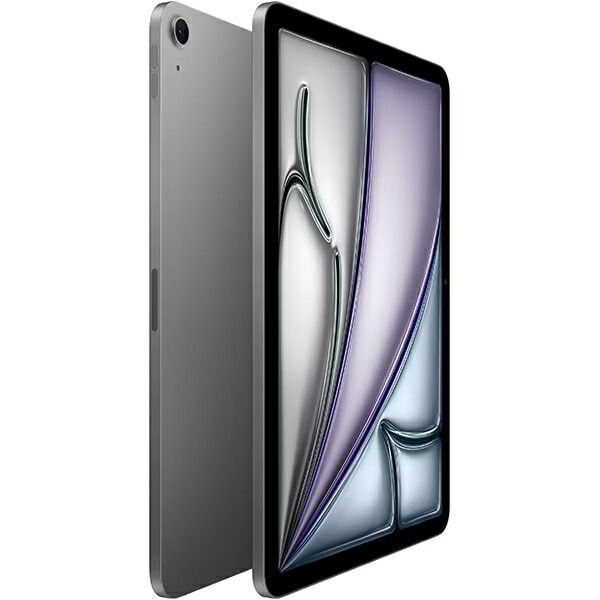 iPad Pro スペースグレー 本体【ジャンク品】 ジャンク品】 Apple iPad