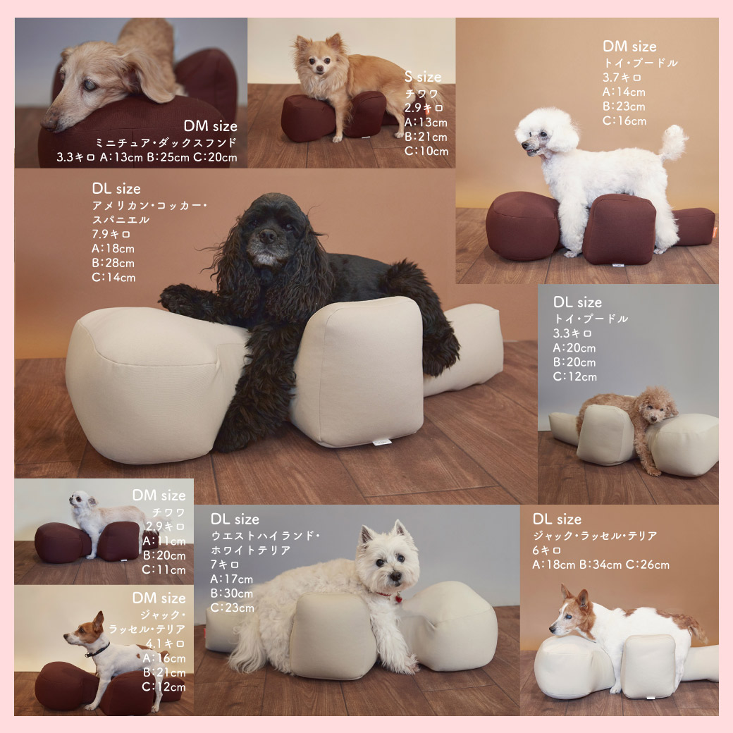 楽天市場】アロン化成 OneAid ワンエイド リラクッション