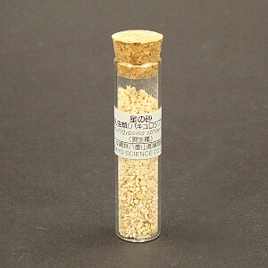 楽天市場】星の砂 : UnDigital科学博物店