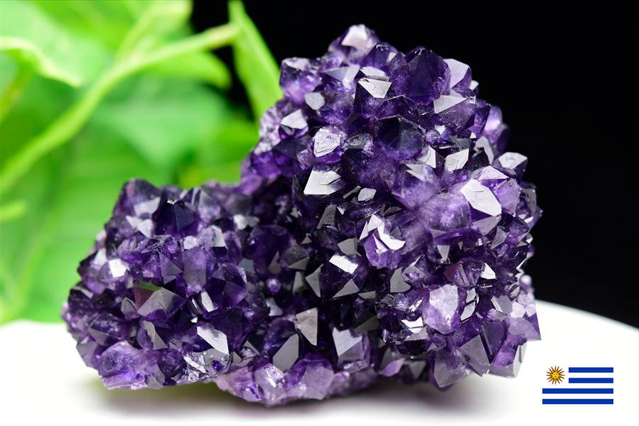 楽天市場】フラワー アメジスト クラスター 原石 ◇ウルグアイ