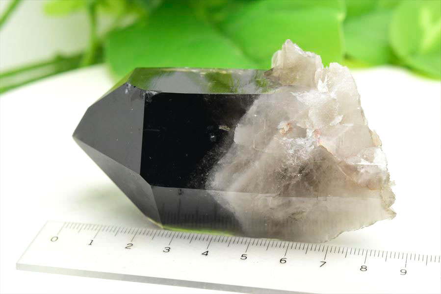 スモーキークォーツ クラスター アーカンソー州産 楽天市場