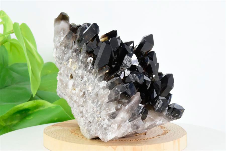 楽天市場】□アーカンソー州産□黒水晶 スモーキークォーツ クラスター