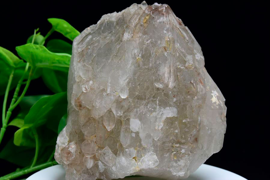 楽天市場】スモーキー アリゲータークォーツ ジャカレー水晶□ブラジル