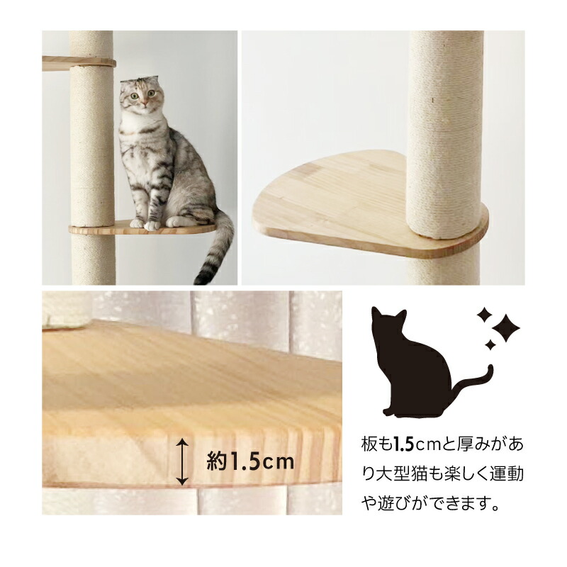 楽天市場】＼マラソン期間限定 クーポンで 11,000円→9,900円