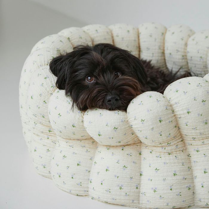 楽天市場】即納【azallea】Canele Cushion（flower soft canele / sky