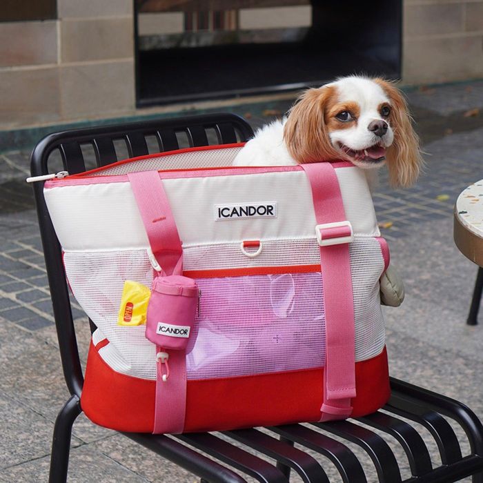 楽天市場】※予約販売【iCANDOR】BRISBANE BAG（FLAMINGO PINK） 犬用品