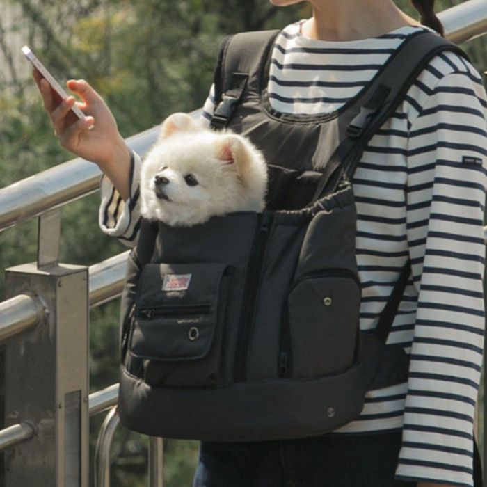 楽天市場】※予約販売【BITE ME】COMFY RAVIOLI - Ten-mile bag