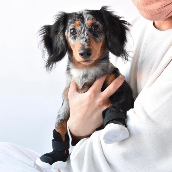 楽天市場】即納【RIFRUF】SNEAKERS CAESAR 1（Black） URBAN DOG TOKYO