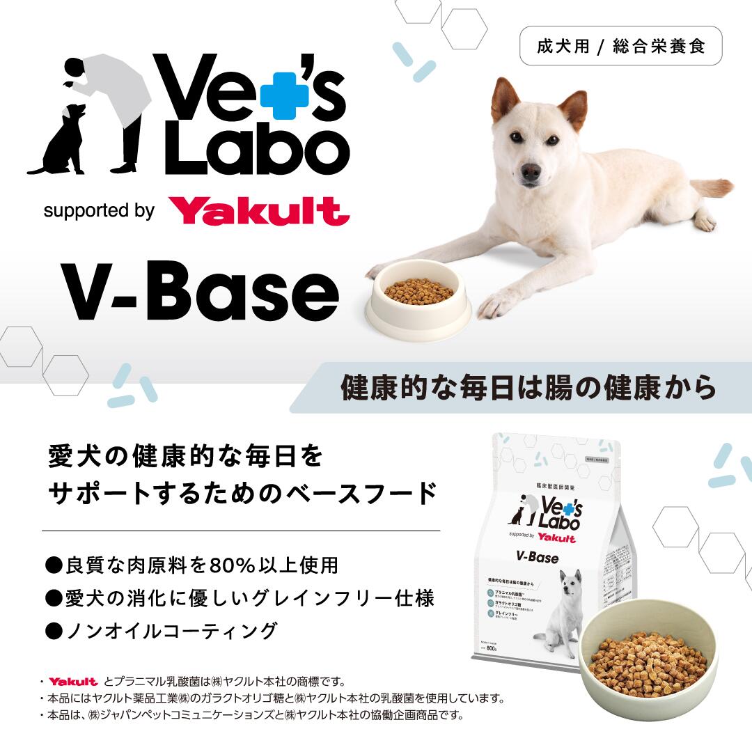 楽天市場】公式 V-Base ブイベース 犬用 800g 【Vet's Labo